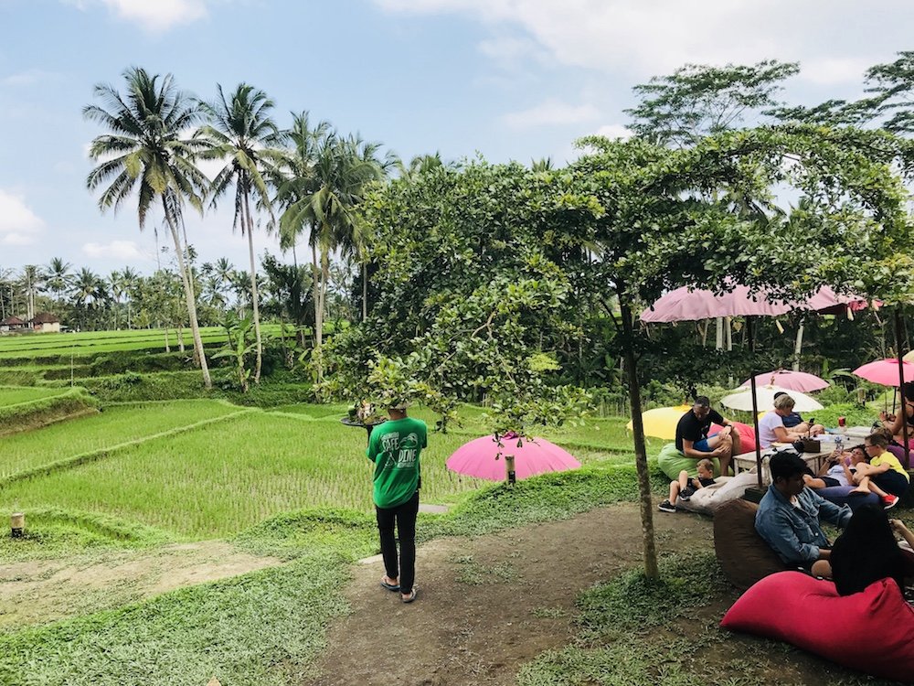 fietstocht bali rijstvelden